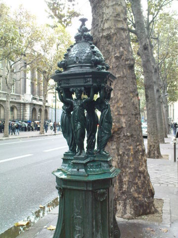 Scaled image dsc01594.jpg 