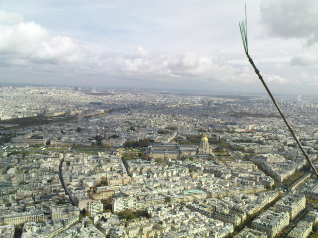 Scaled image dsc01638.jpg 