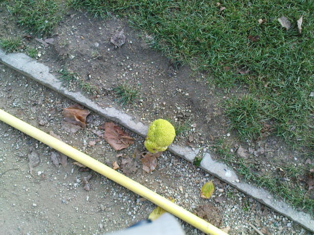 Scaled image dsc01659.jpg 