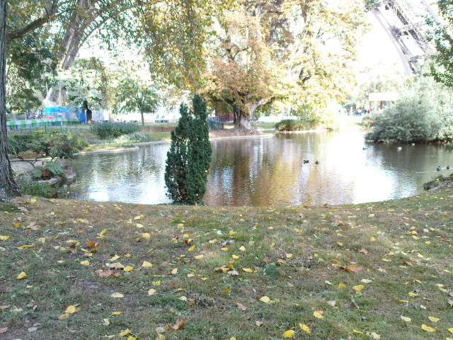 Scaled image dsc01662.jpg 