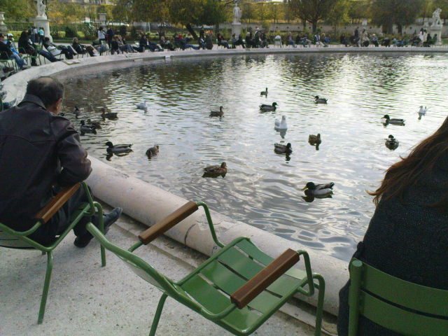 Scaled image dsc01826.jpg 