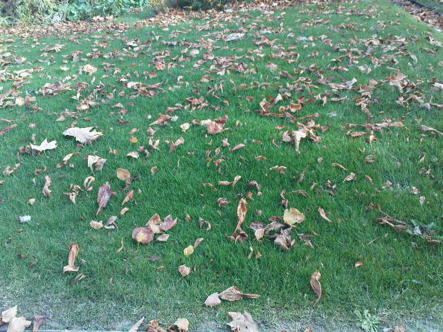 Scaled image dsc01833.jpg 