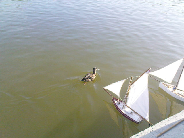 Scaled image dsc01948.jpg 