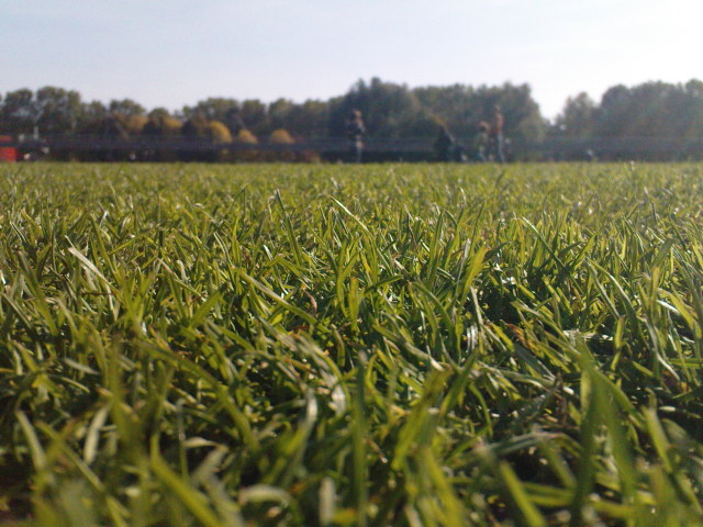 Scaled image dsc01962.jpg 