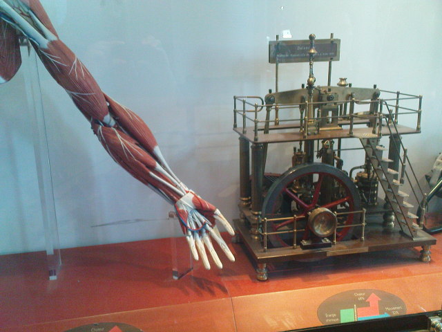 Scaled image dsc01971.jpg 