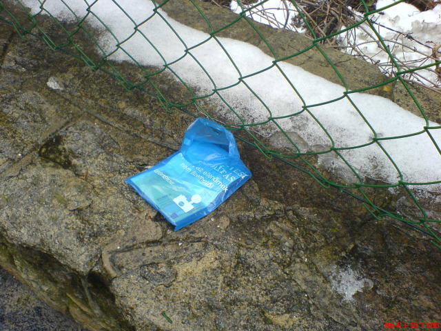 Scaled image dsc00206.jpg 