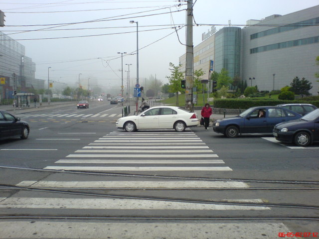 Scaled image dsc00622.jpg 