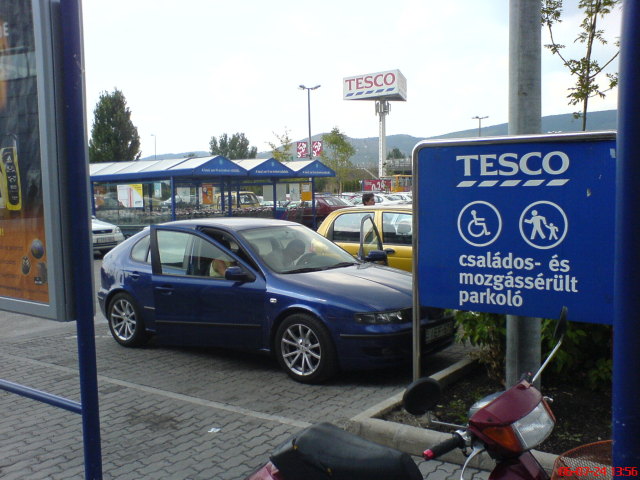 Scaled image dsc01246.jpg 