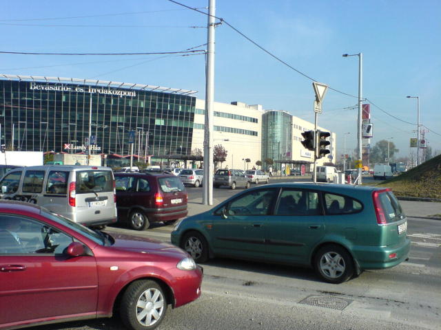 Scaled image dsc01736.jpg 