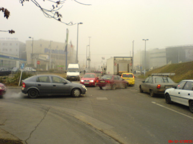 Scaled image dsc02037.jpg 