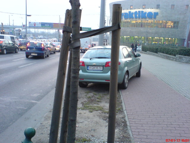 Scaled image dsc02149.jpg 