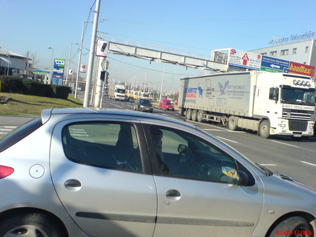 Scaled image dsc02508.jpg 