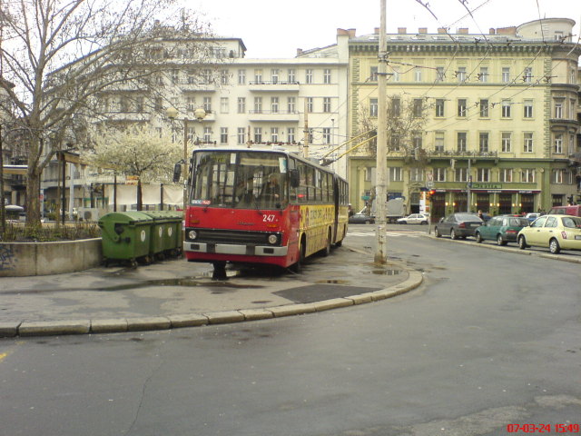 Scaled image dsc02646.jpg 