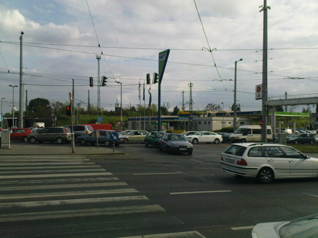 Scaled image dsc00323.jpg 