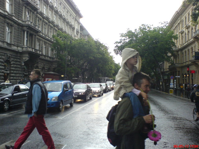 Scaled image dsc00769.jpg 