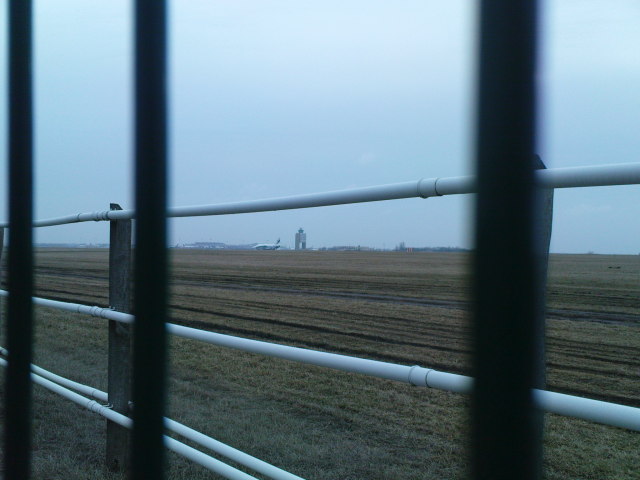 Scaled image dsc02425.jpg 