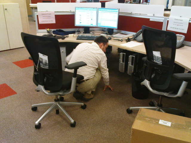 Scaled image gorgoszerel.jpg 