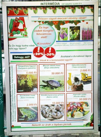 Scaled image auchanlapplakat.jpg 