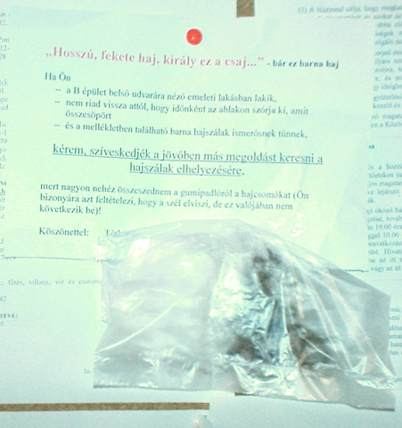 Scaled image hajciho.jpg 