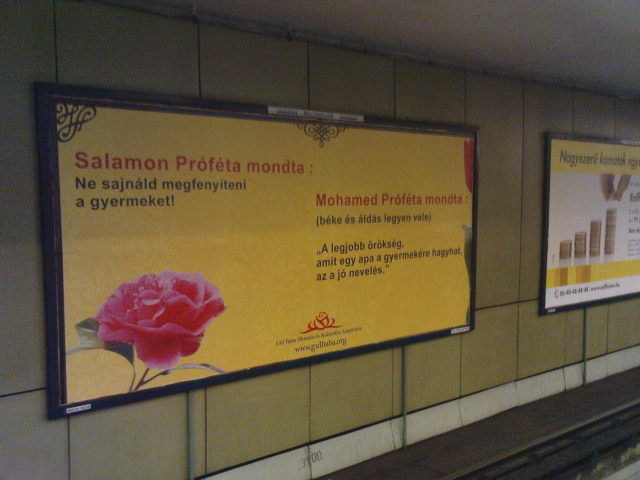 Scaled image nevelotabla.jpg 