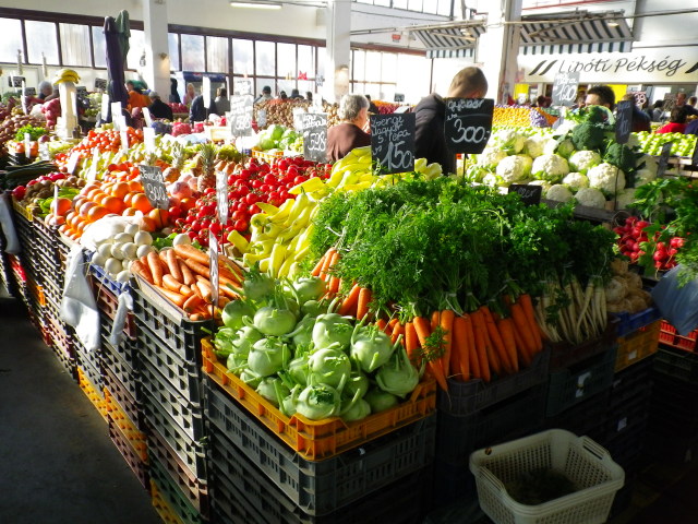 Scaled image IMGP0535.JPG 