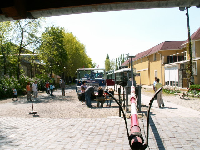 Scaled image pict3691.jpg 