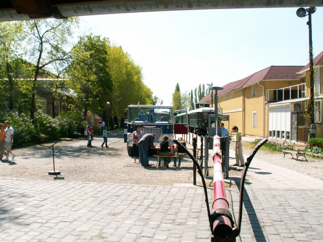 Scaled image pict3692.jpg 