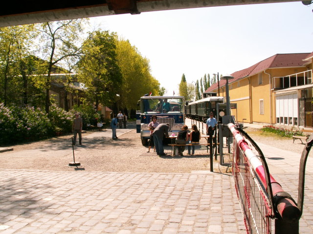 Scaled image pict3693.jpg 