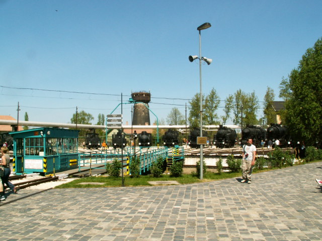 Scaled image pict3716.jpg 