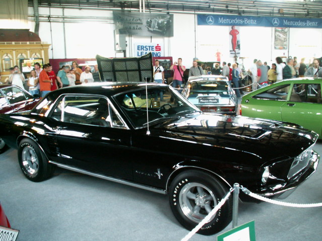 Scaled image pict3748.jpg 