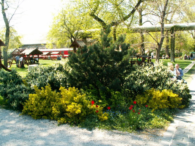 Scaled image pict3761.jpg 