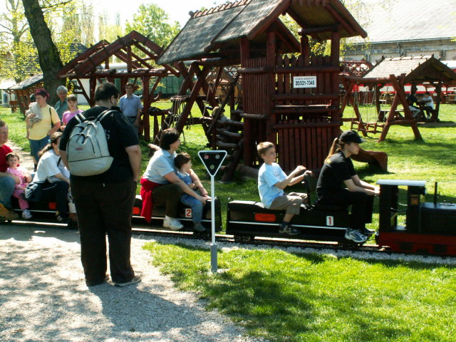 Scaled image pict3763.jpg 