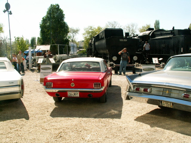 Scaled image pict3780.jpg 