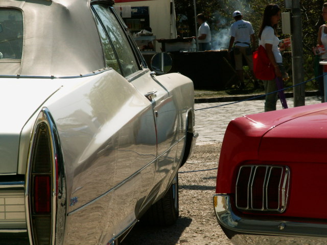 Scaled image pict3783.jpg 