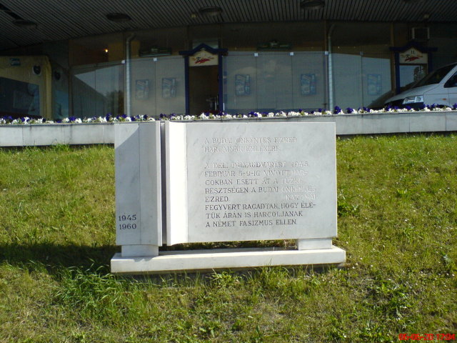 Scaled image dsc01021.jpg 