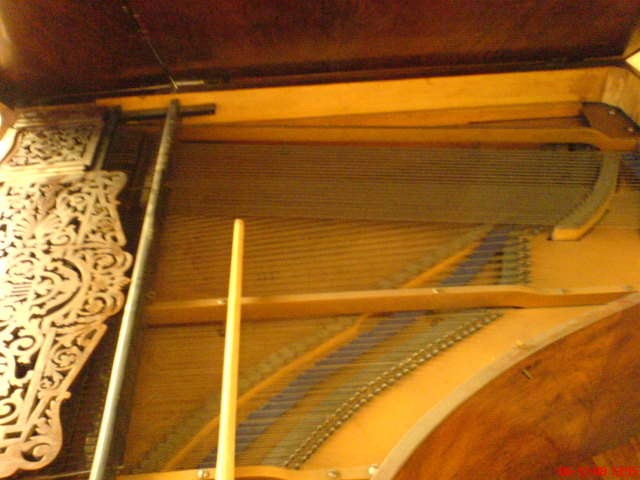 Scaled image zongora4.jpg 