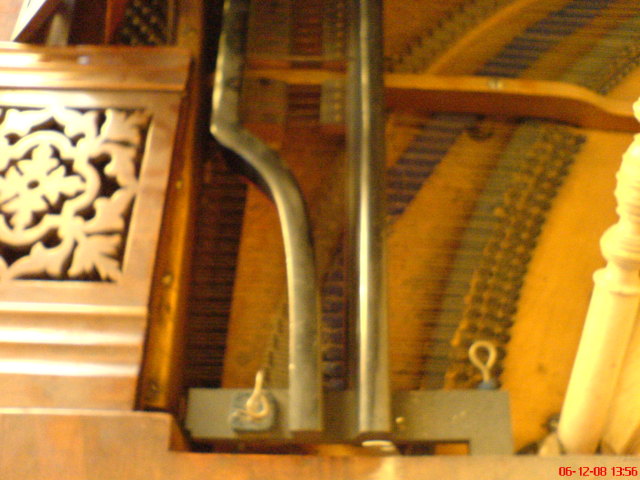 Scaled image zongora5.jpg 