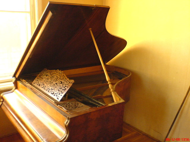 Scaled image zongora6.jpg 